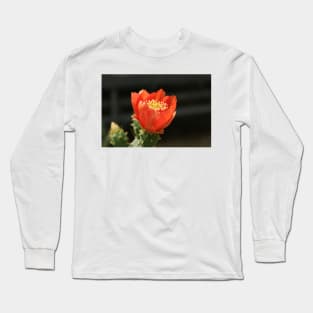 Red flower Long Sleeve T-Shirt